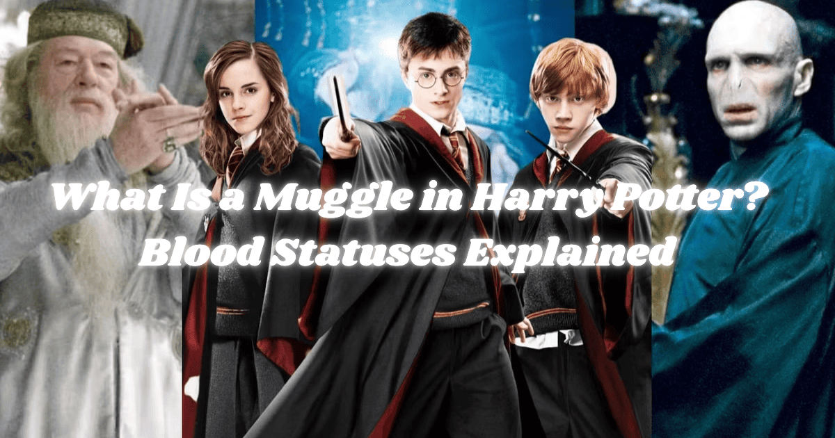 What Is a Muggle in Harry Potter
